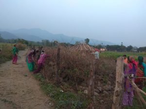 सफाई के बाद की सड़क