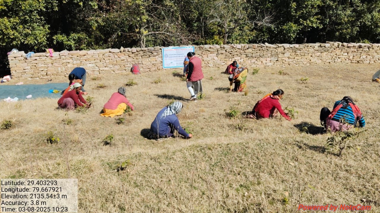 638c33b4 5bd7 4260 b4db d20b04e18849 1 महिला दिवस पर वन पंचायत धानाचूली में किया पौधरोपण