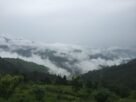 26 उत्तराखंड में आज से आठ अगस्त तक भारी बारिश का अलर्ट